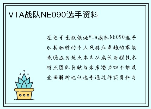 VTA战队NE090选手资料